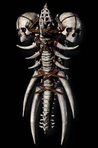 Bone Shield / 3 Socket