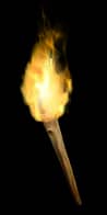 Amazon Torch