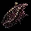Altered Collarbone